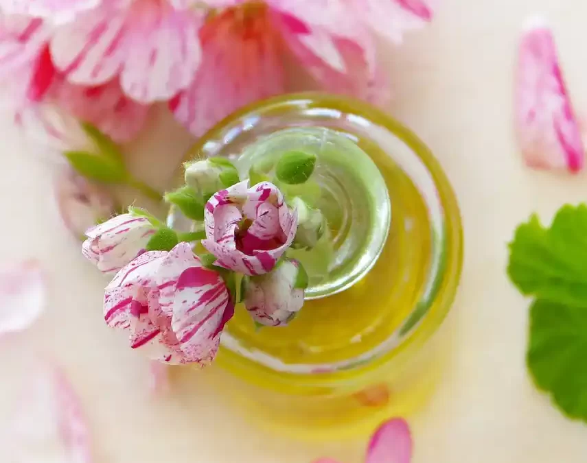 geranium essential oil